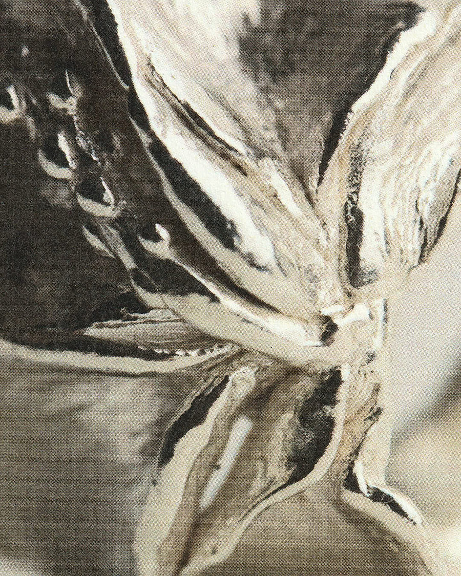 Jeanette Ring