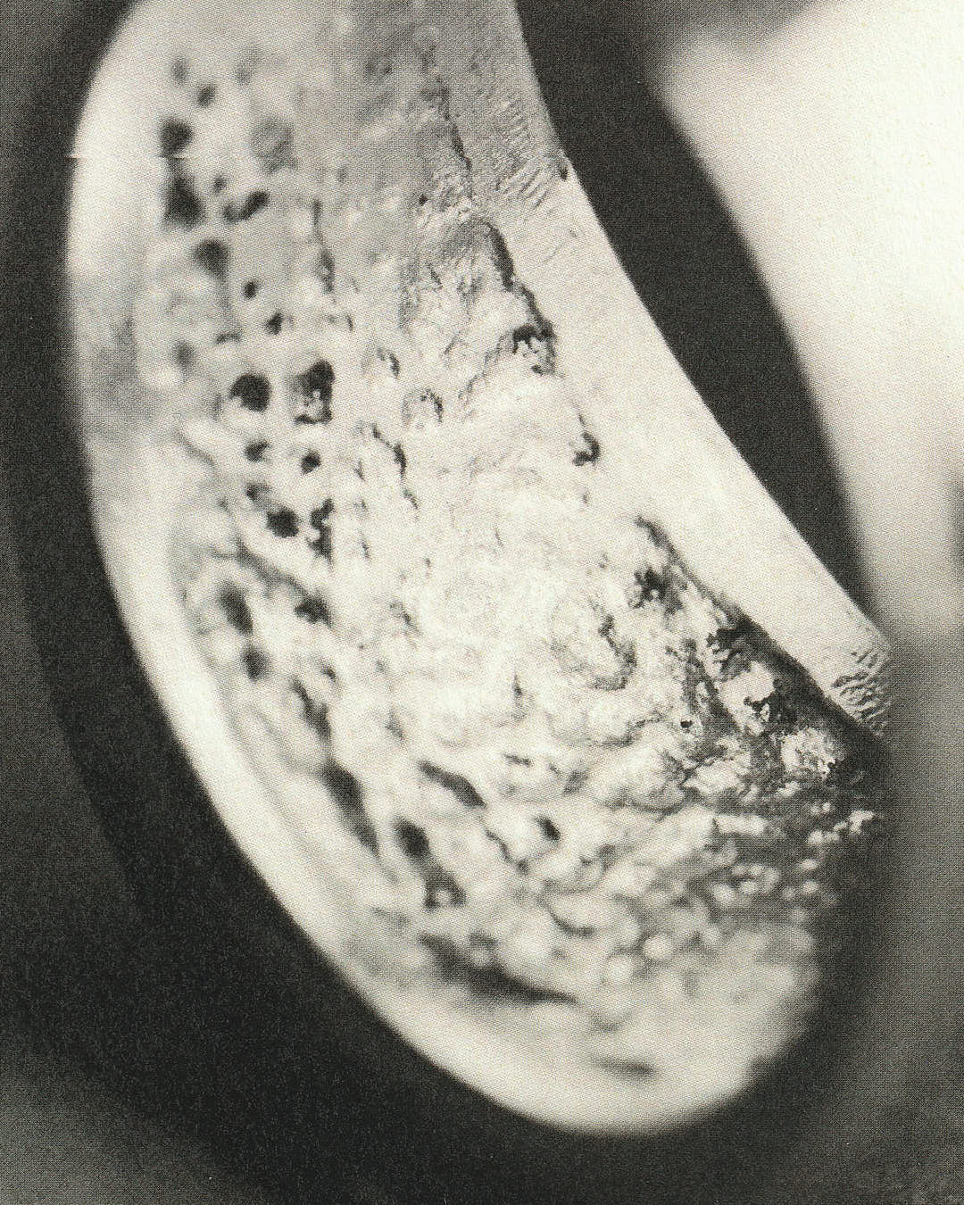 Bellarmina Ring