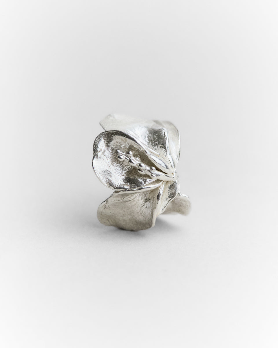 Jeanette's Ring