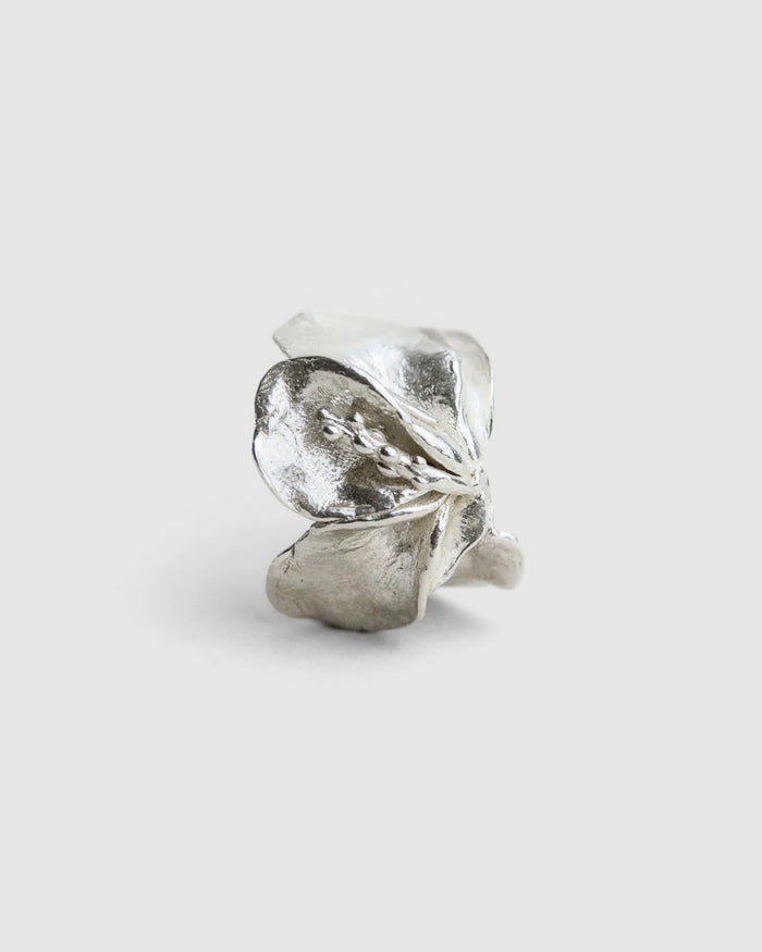 Jeanette's Ring