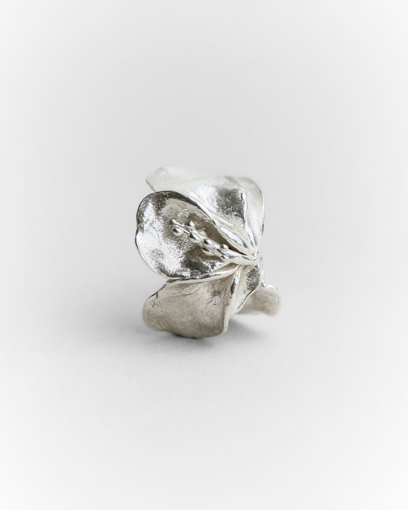 Jeanette's Ring
