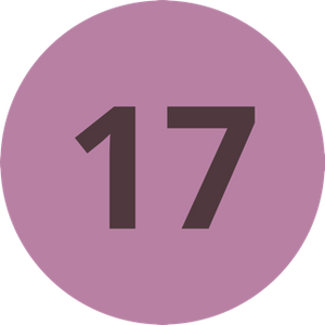17
